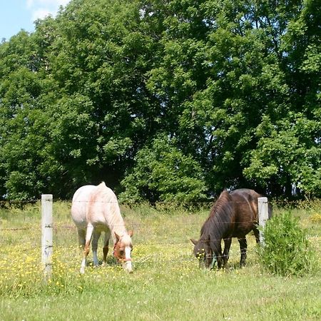 Ferienhaus Sommerbrise, Hof Zur Sonnenseite Fehmarn, 4 Sterne المظهر الخارجي الصورة